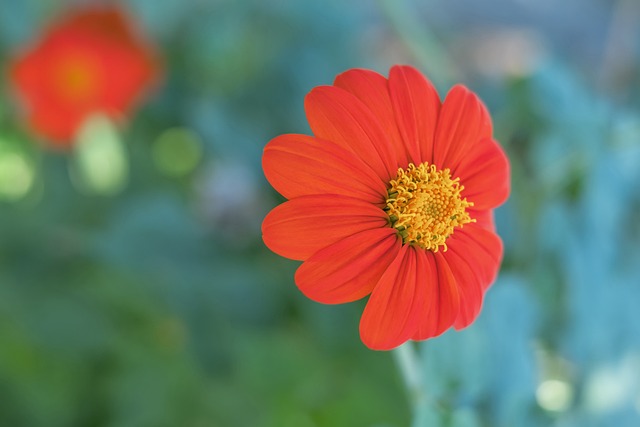 场国际比赛 场国际比赛