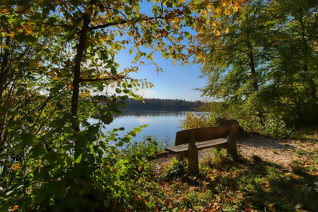 的竞技水平 的竞技水平