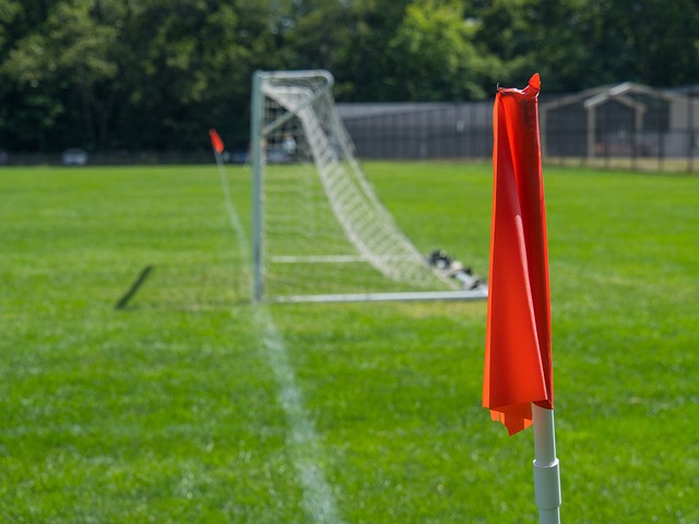 逐步减少对 逐步减少对