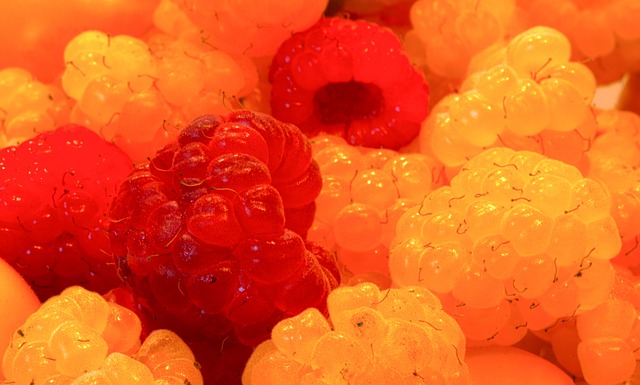 我们看到足 我们看到足