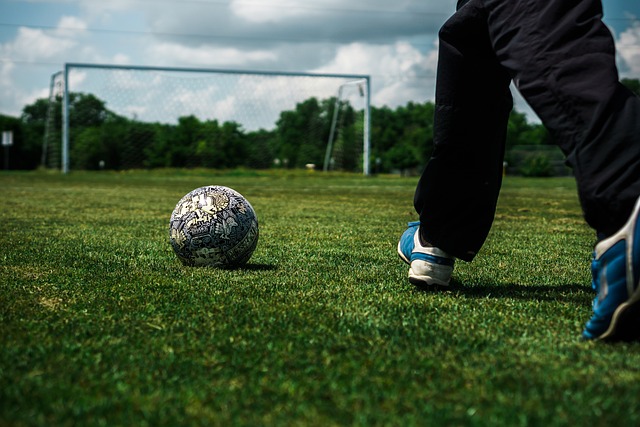 经过缜密策 经过缜密策