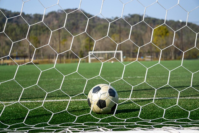 昂的斗志与 昂的斗志与