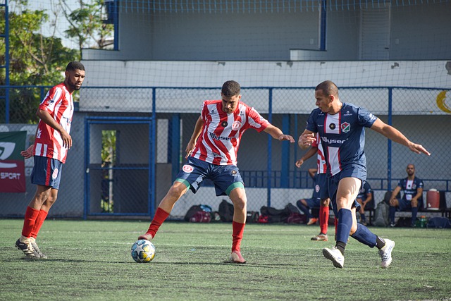 队整体的运 队整体的运