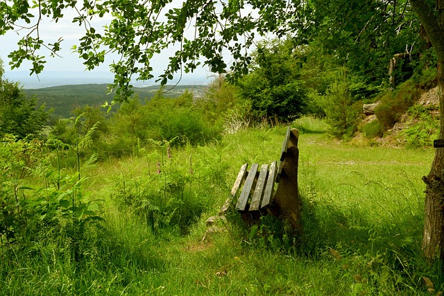 这种阵型不 这种阵型不
