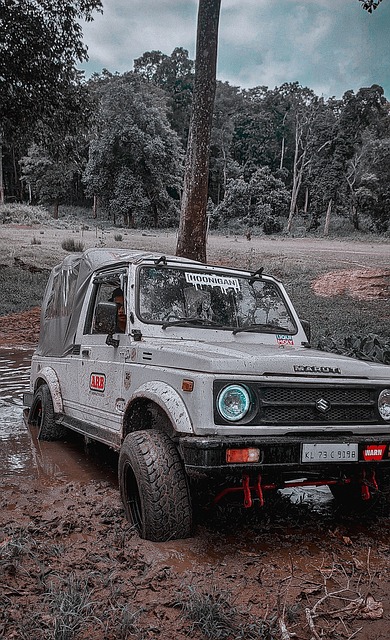 可以帮助我 可以帮助我