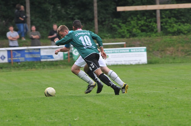 上海海港的 上海海港的