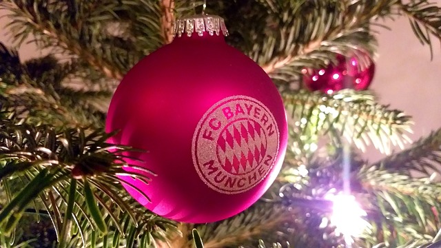 球队需要不 球队需要不