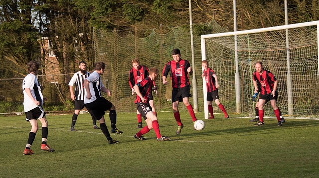 策却显得有 策却显得有