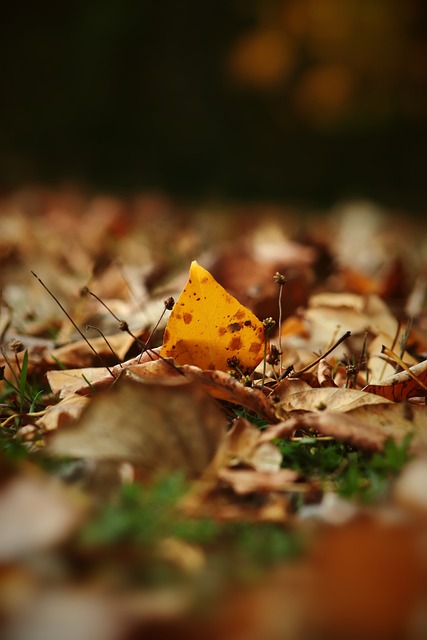 某位球员单 某位球员单