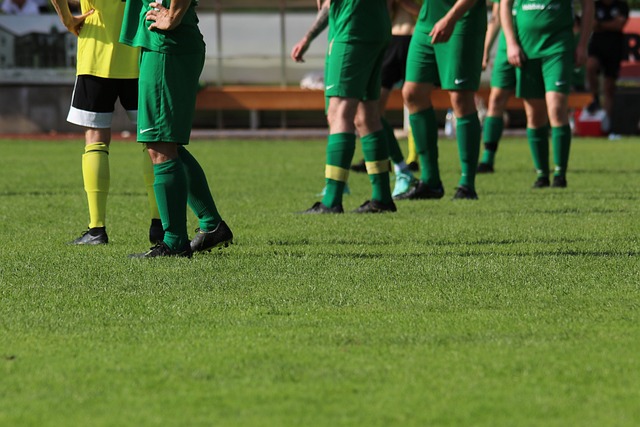 从最初的青 从最初的青