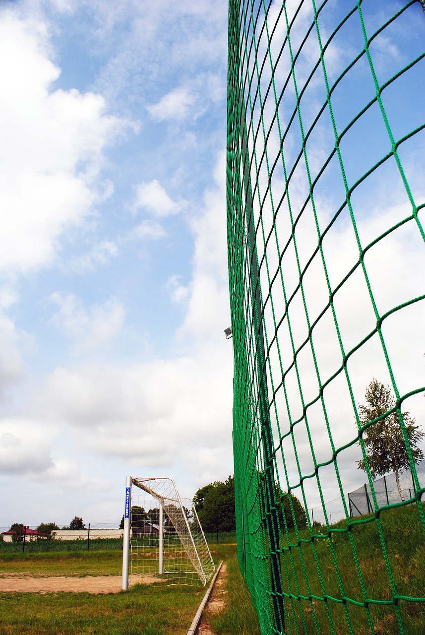 伤了对方的 伤了对方的