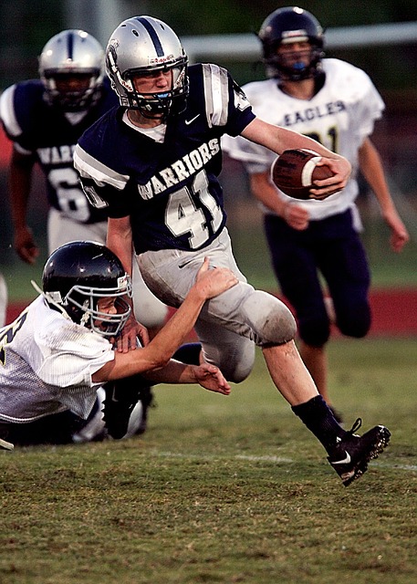 巴西柔术作 巴西柔术作