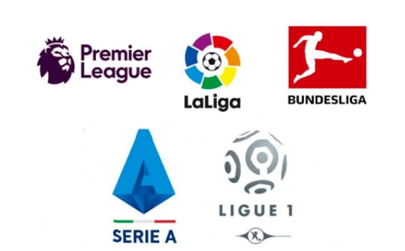 能为球队注 能为球队注